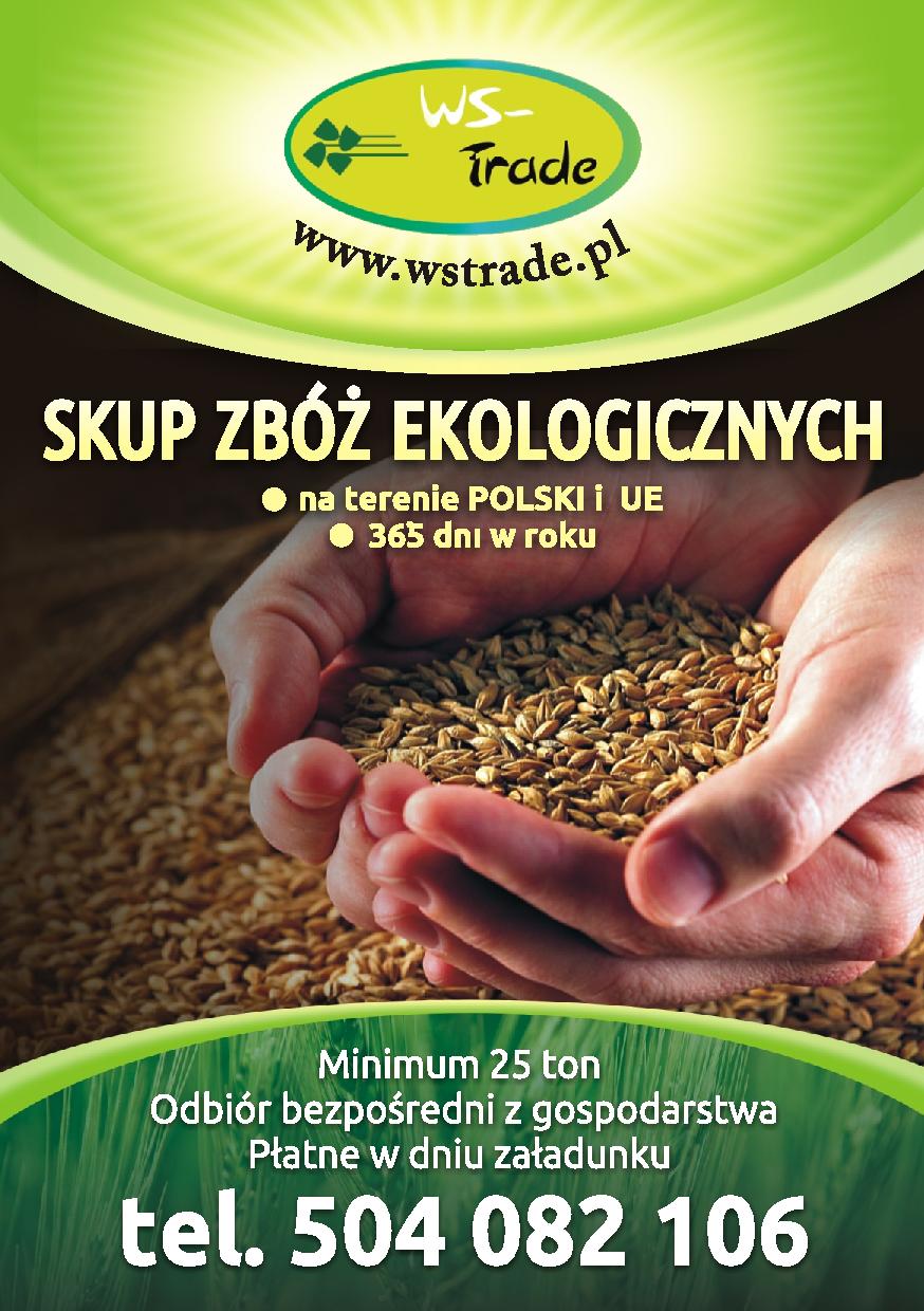 kupię owies- skup owsa