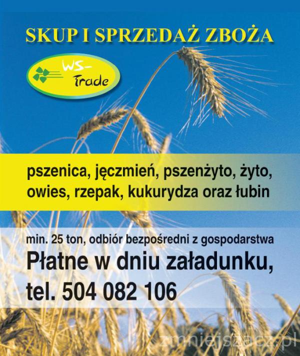 kupię rzepak- skup rzepaku