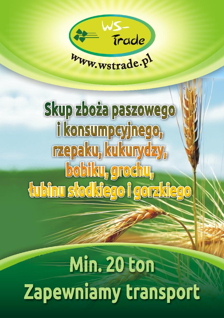 kupię soję- skup soji