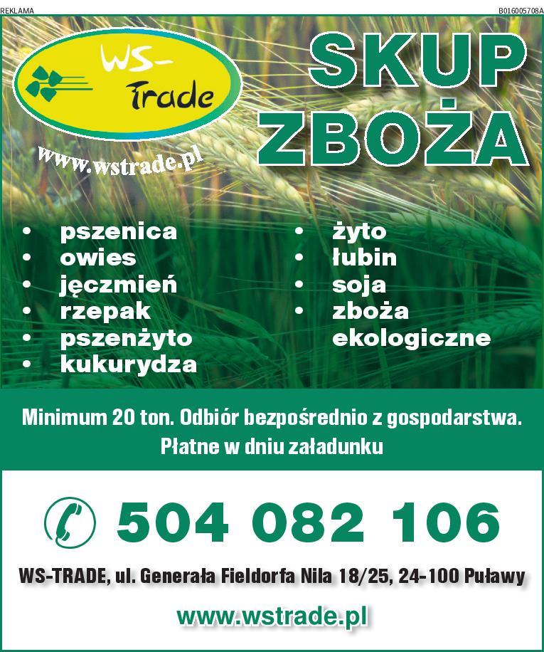 kupię pszenżyto- skup pszenżyta