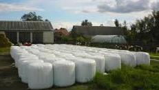 Folia Rolnicza - AGROPLAST (Sianokiszonka)