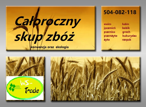 Kupię jęczmień
