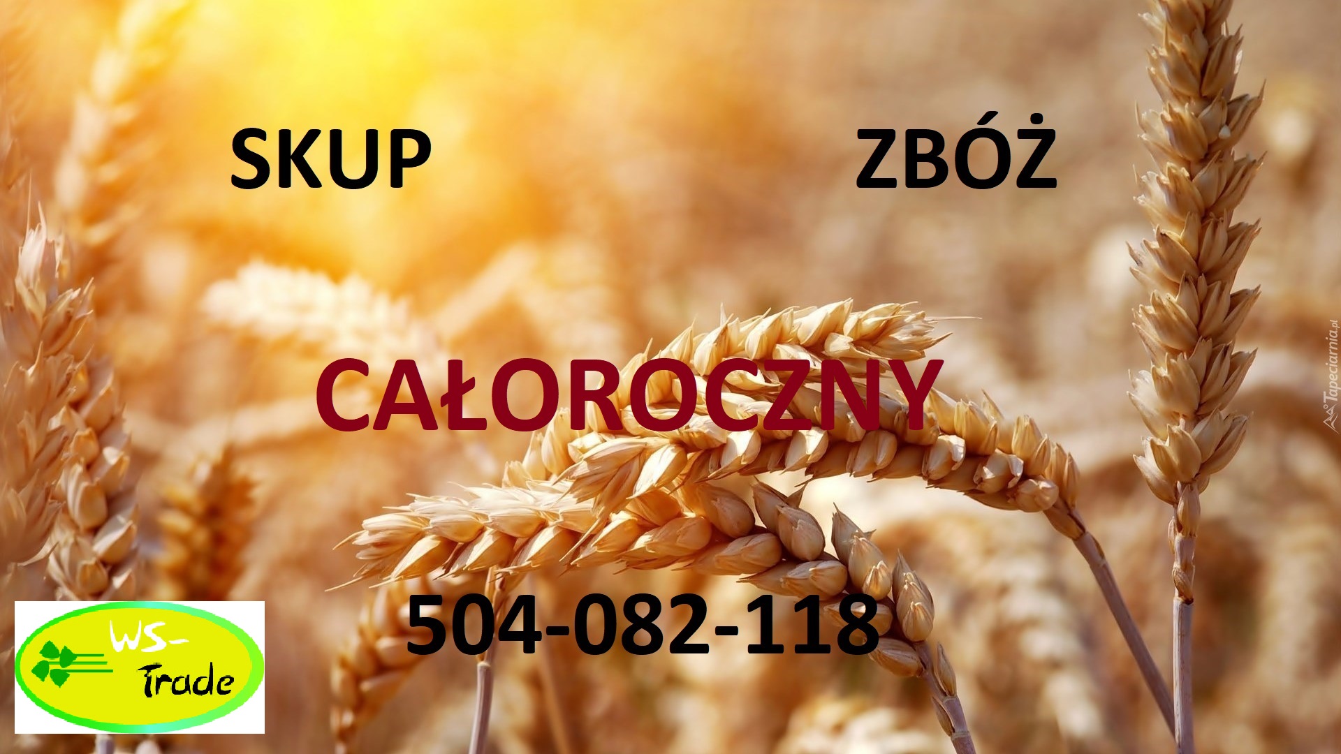 Skup zbóż całoroczny