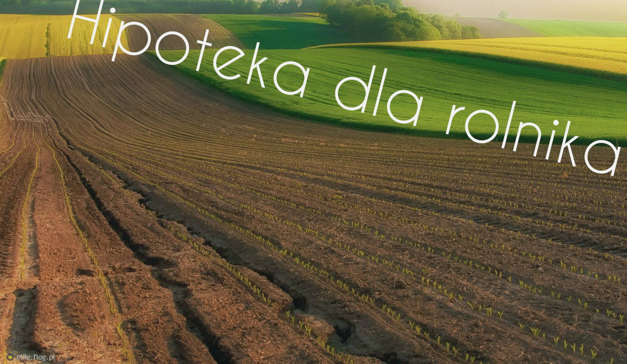 Ważna Informacja Dla Firm i Rolników Poszukujących Pożyczki Hipotecznej Bez Bik