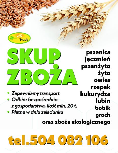 skup zboża: pszenicy, pszenżyta , owsa, jęczmienia, żyta, kukurydzy, grochu, łubinu