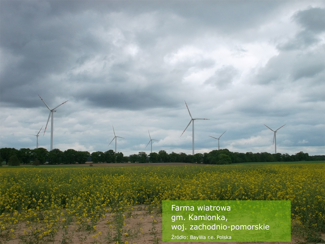 Zarabiaj dzierżawiąc grunty pod farmy PV i wiatrowe!