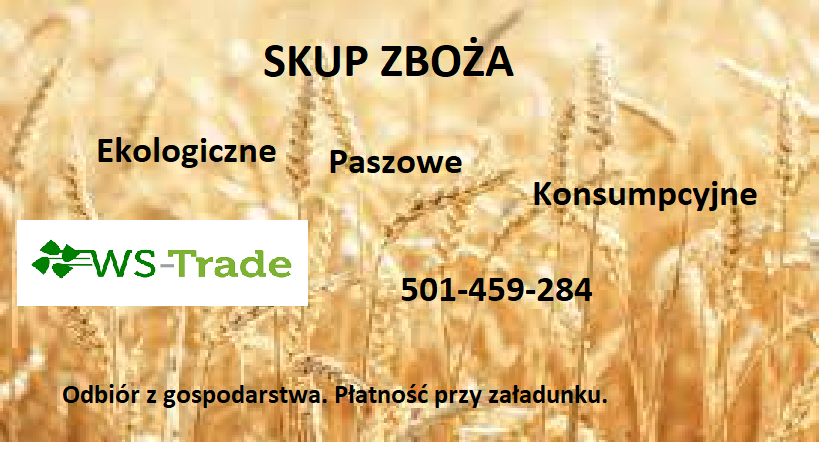 Skup zboża 